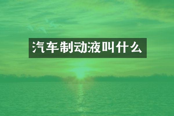 汽车制动液叫什么