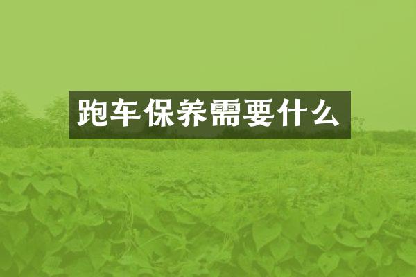 跑车保养需要什么