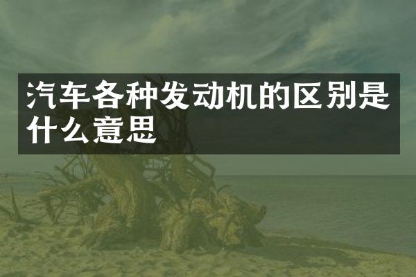 汽车各种发动机的区别是什么意思