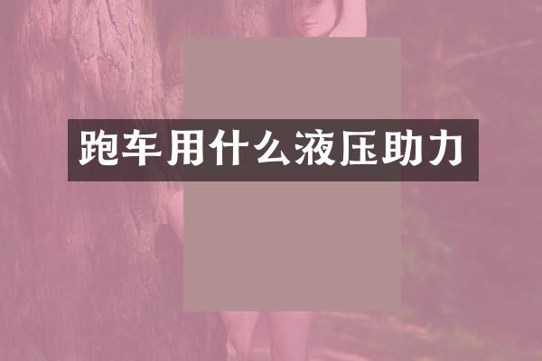 跑车用什么液压助力
