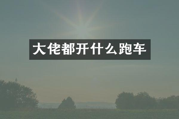 大佬都开什么跑车