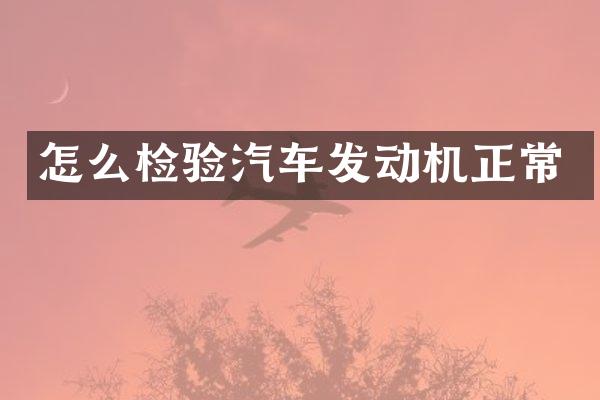 怎么检验汽车发动机正常