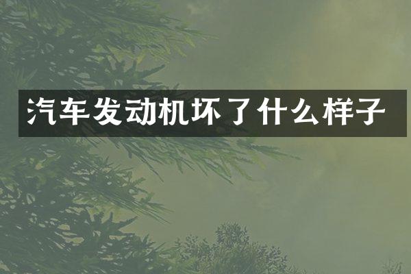 汽车发动机坏了什么样子