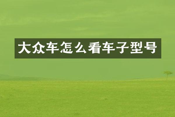 大众车怎么看车子型号