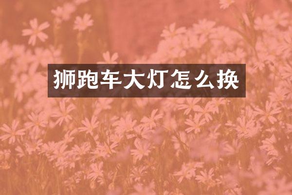 狮跑车大灯怎么换