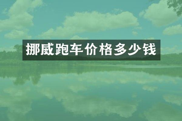 挪威跑车价格多少钱