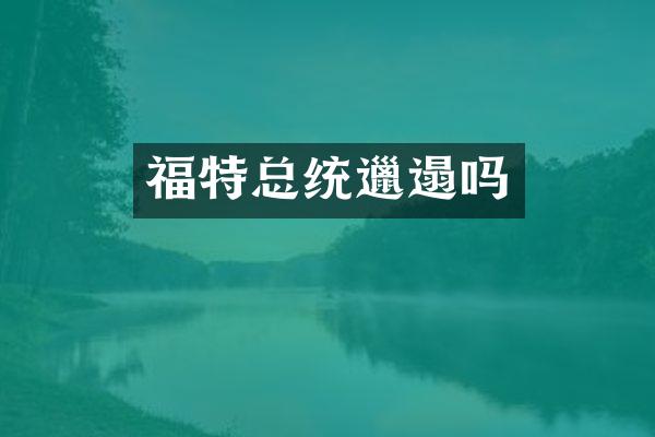 福特总统邋遢吗