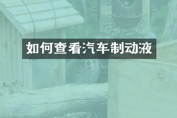 如何查看汽车制动液