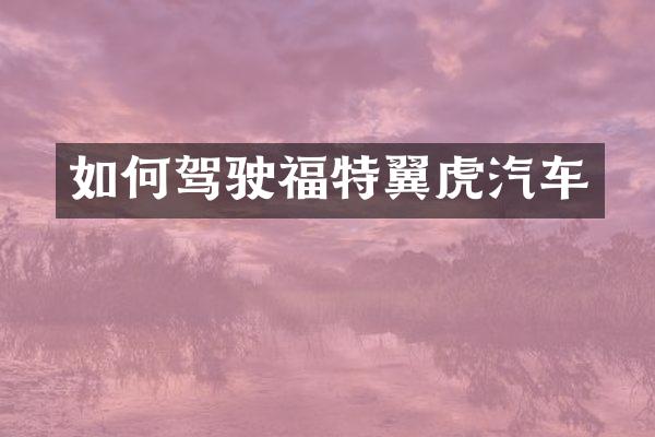 如何驾驶福特翼虎汽车