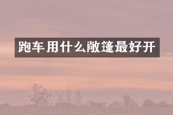 跑车用什么敞篷最好开