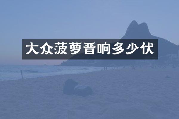 大众菠萝晋响多少伏