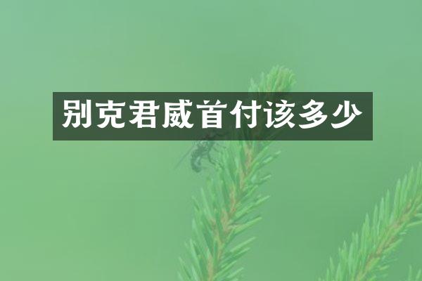 别克君威首付该多少