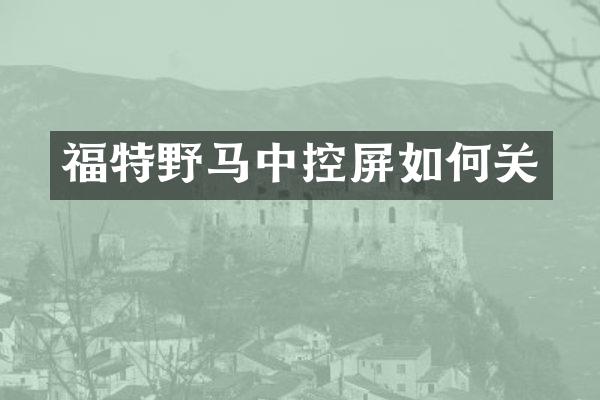 福特野马中控屏如何关