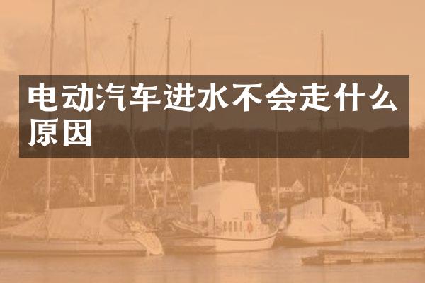 电动汽车进水不会走什么原因