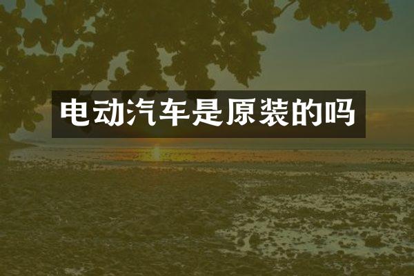 电动汽车是原装的吗