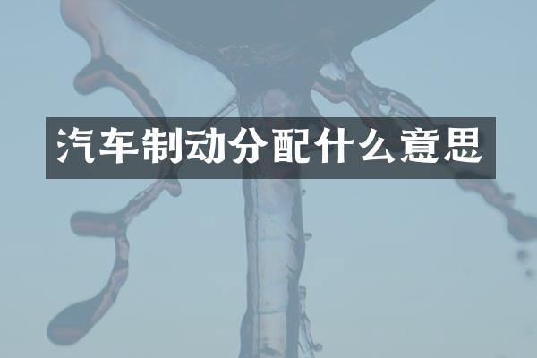 汽车制动分意思