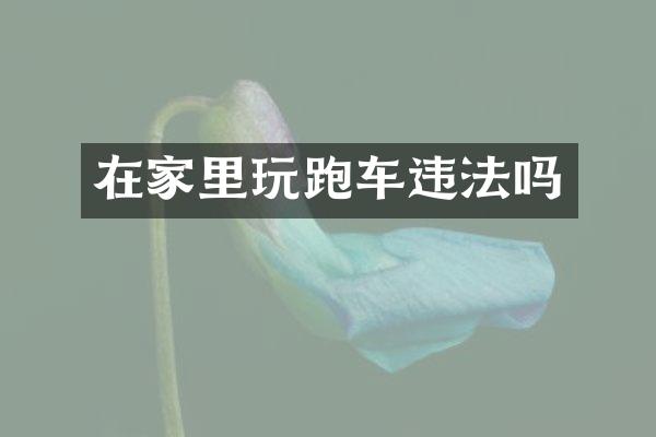 在家里玩跑车违法吗