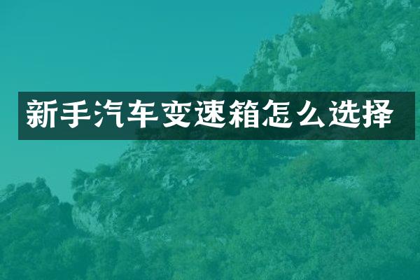 新手汽车变速箱怎么选择