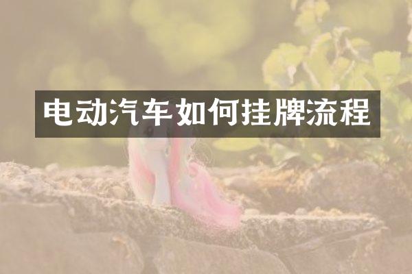 电动汽车如何挂牌流程