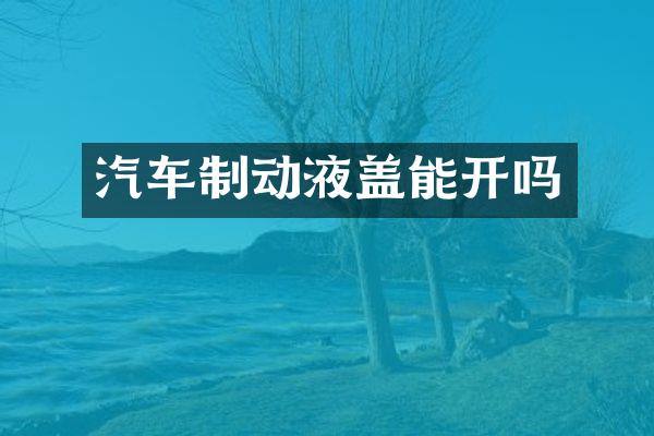 汽车制动液盖能开吗