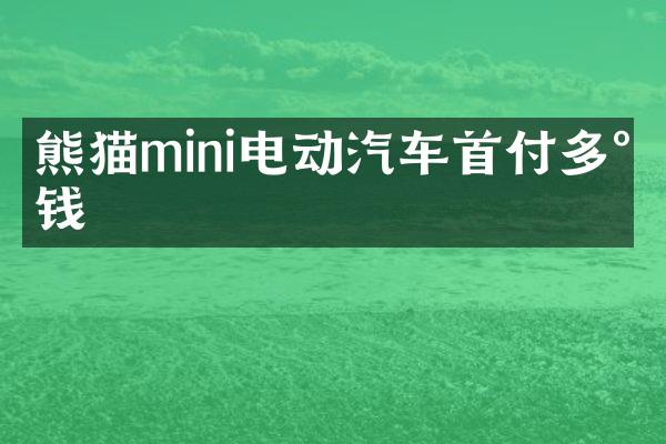熊猫mini电动汽车首付多少钱