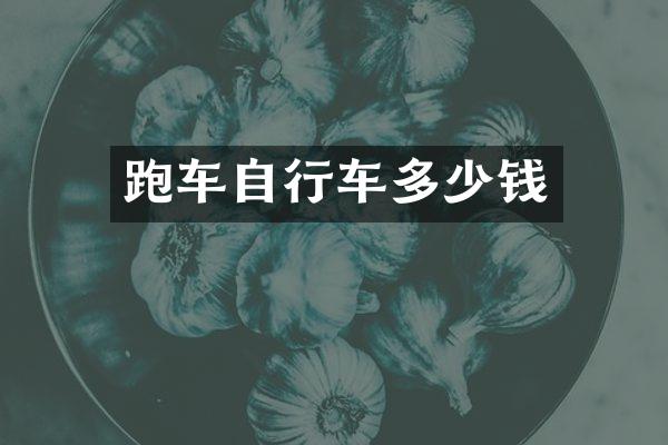 跑车自行车多少钱