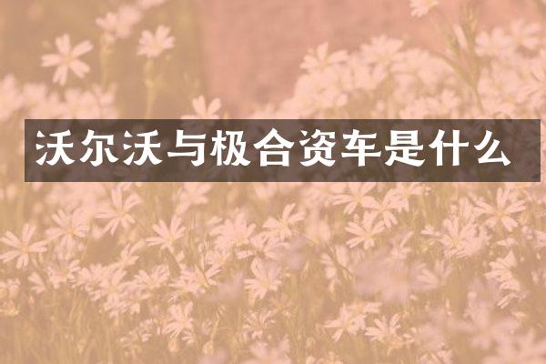 沃尔沃与极合资车是什么