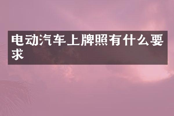 电动汽车上牌照有什么要求