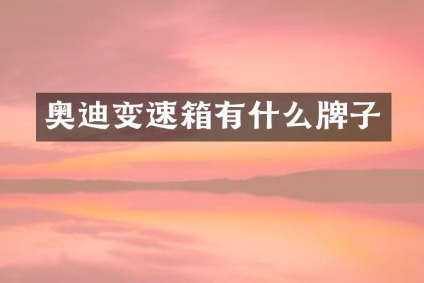 奥迪变速箱有什么牌子