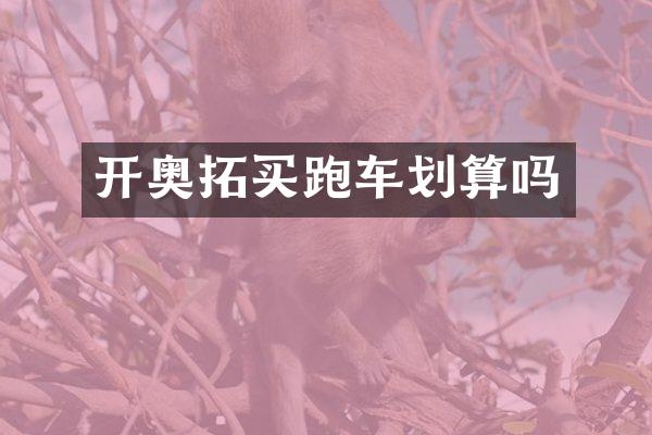 开奥拓买跑车划算吗