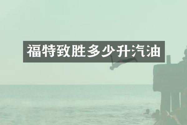 福特致胜多少升汽油