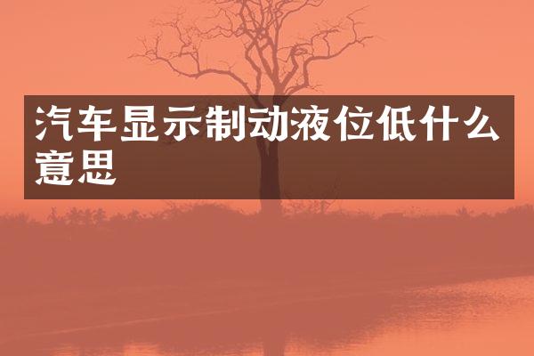 汽车显示制动液位低什么意思
