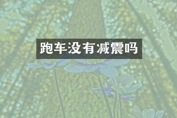 跑车没有减震吗