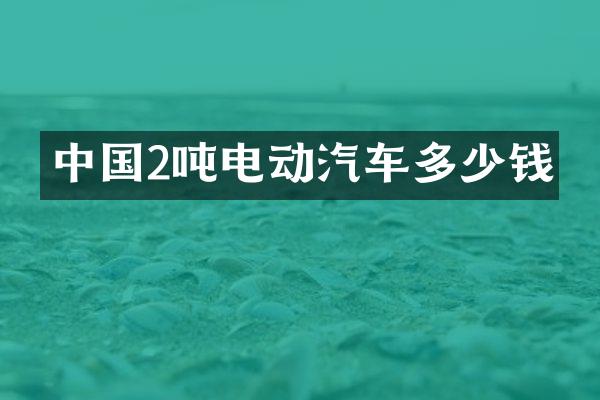 中国2吨电动汽车多少钱