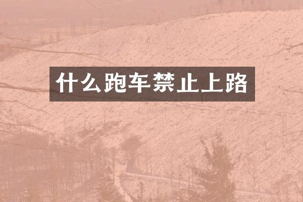什么跑车禁止上路