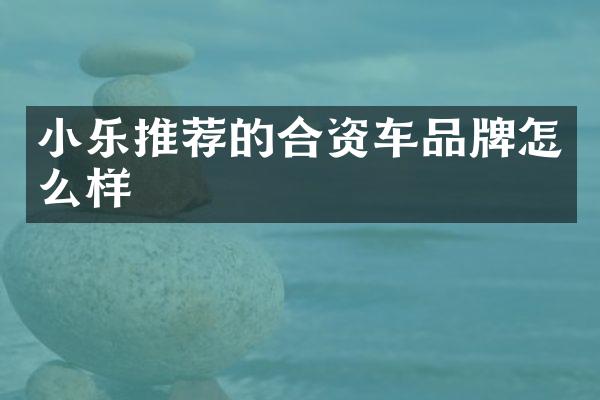 小乐推荐的合资车品牌怎么样