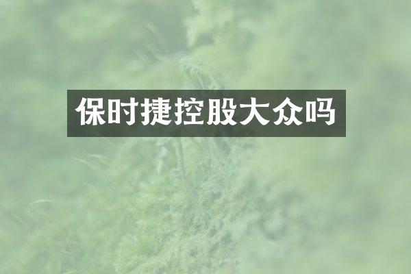 保时捷控股大众吗