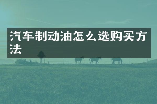 汽车制动油怎么选购买方法