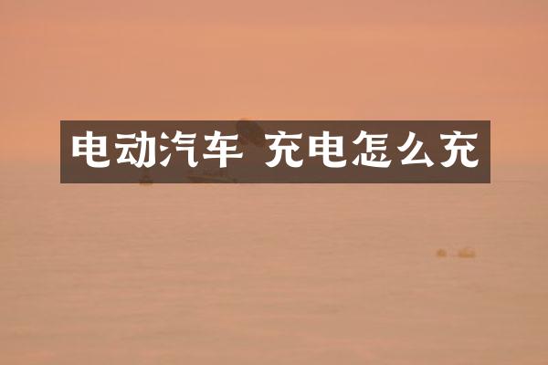 电动汽车 充电怎么充