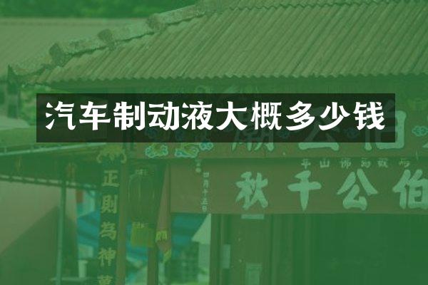 汽车制动液大概多少钱