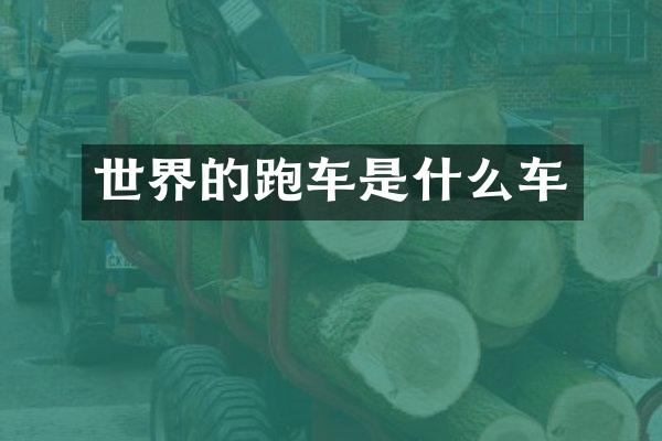 世界的跑车是什么车
