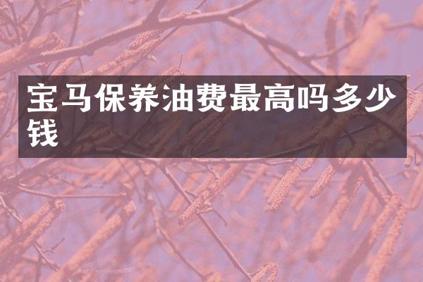 宝马保养油费最高吗多少钱