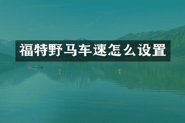 福特野马车速怎么设置