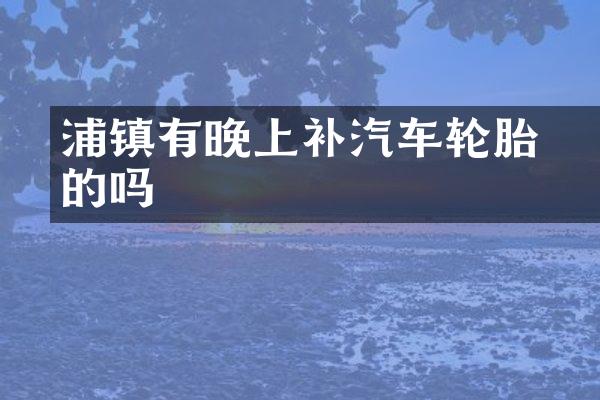 澥浦镇有晚上补汽车轮胎的吗