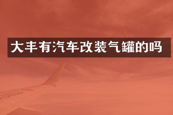 大丰有汽车改装气罐的吗