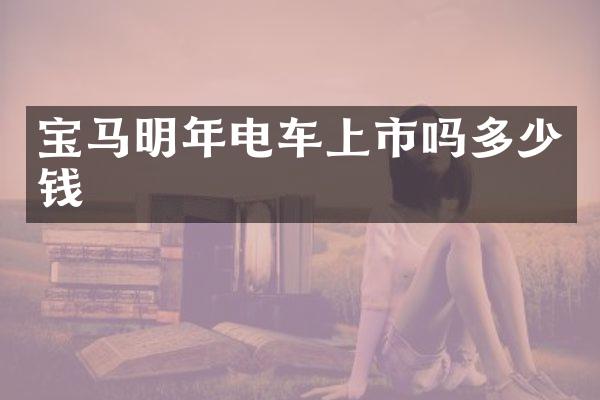 宝马明年电车上市吗多少钱