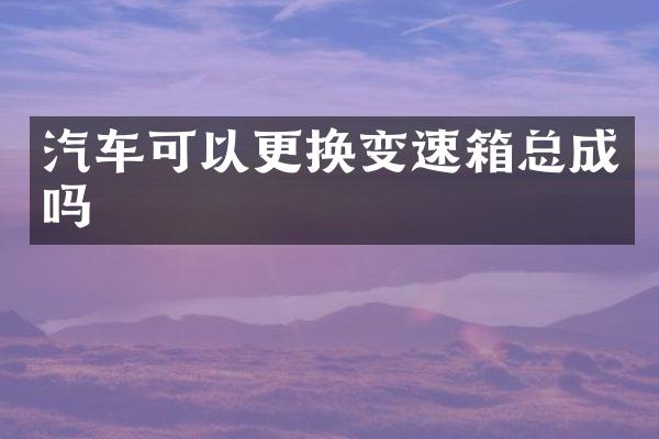 汽车可以更换变速箱总成吗