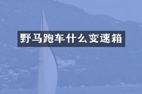 野马跑车什么变速箱