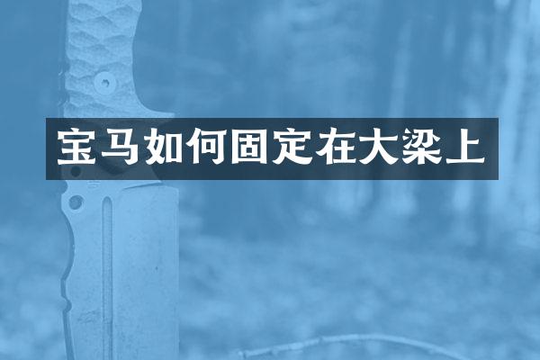 宝马如何固定在大梁上