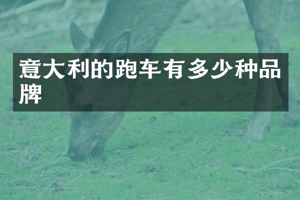 意大利的跑车有多少种品牌